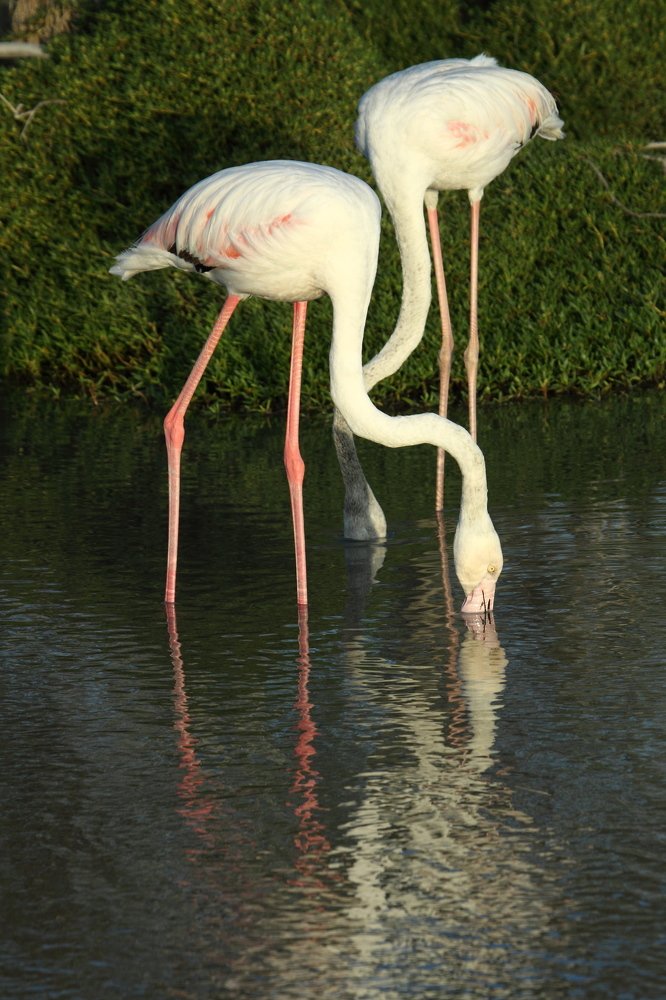 Photograph by Сергей Ножнин