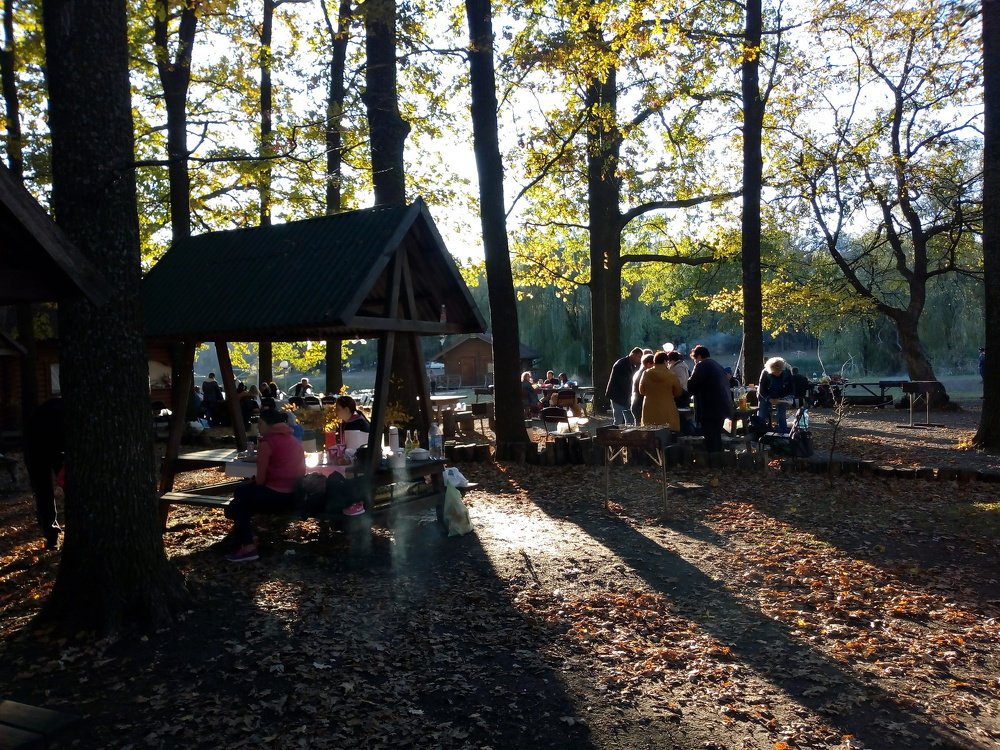 Тени отдыха