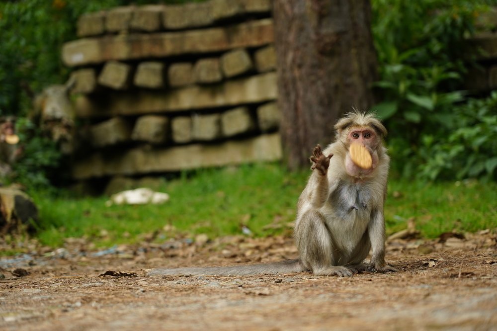 Photograph by Diya Johnson