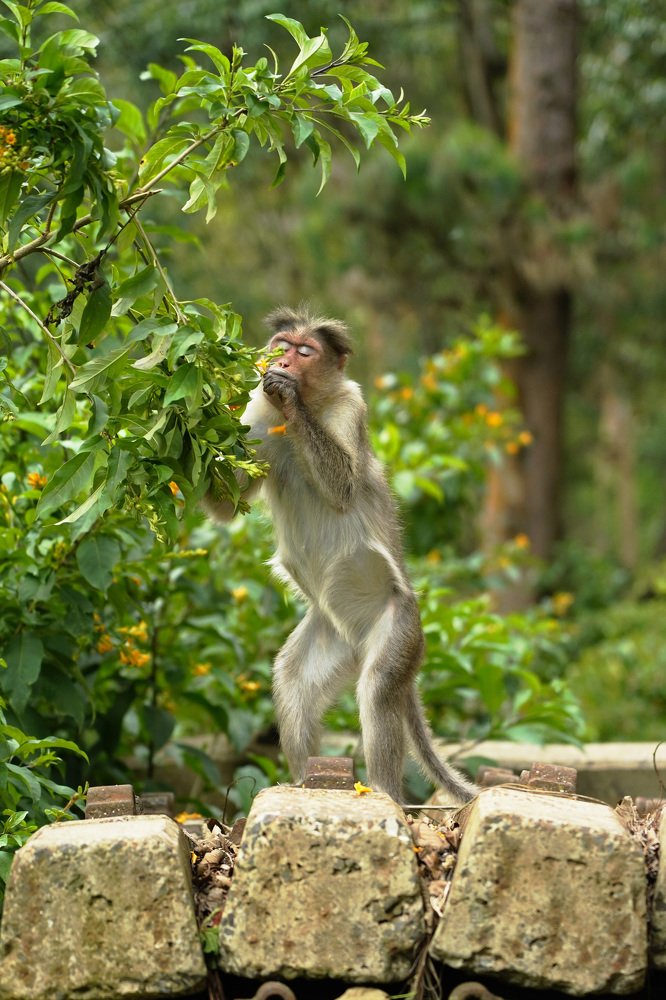 Photograph by Diya Johnson