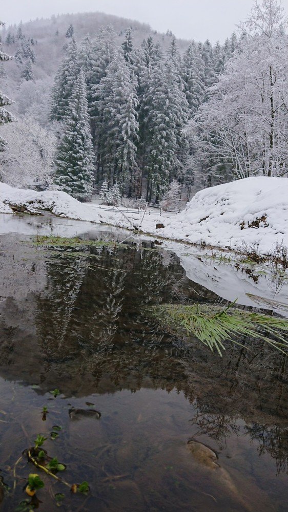 Фотография автора Max Evstafyev