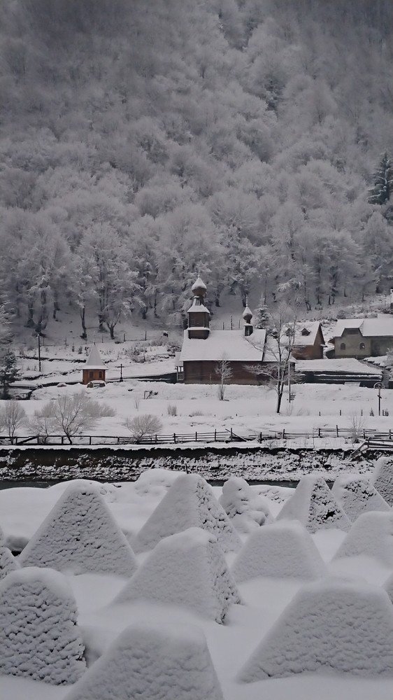 Фотография автора Max Evstafyev