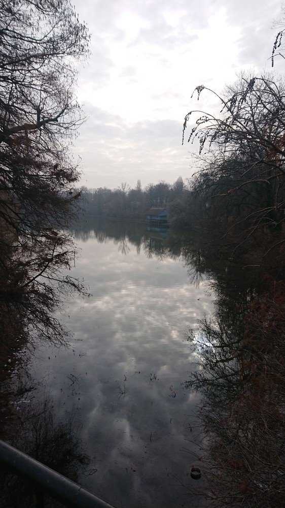 Фотография автора Max Evstafyev