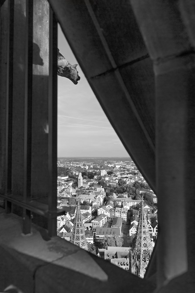 Грозные церберы и огнедышащие драконы    охраняют этот город...