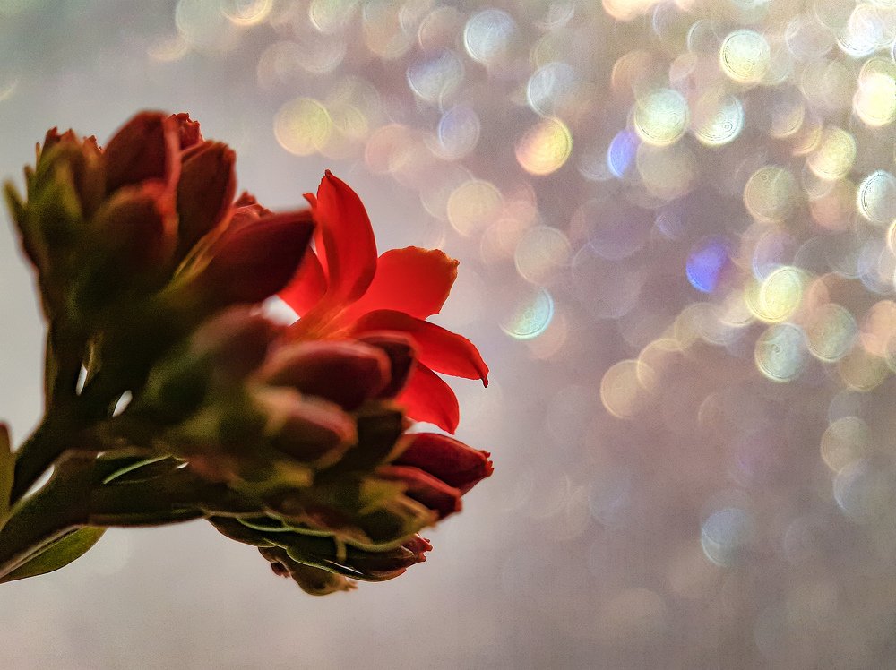 Photograph by Валентина Кананина