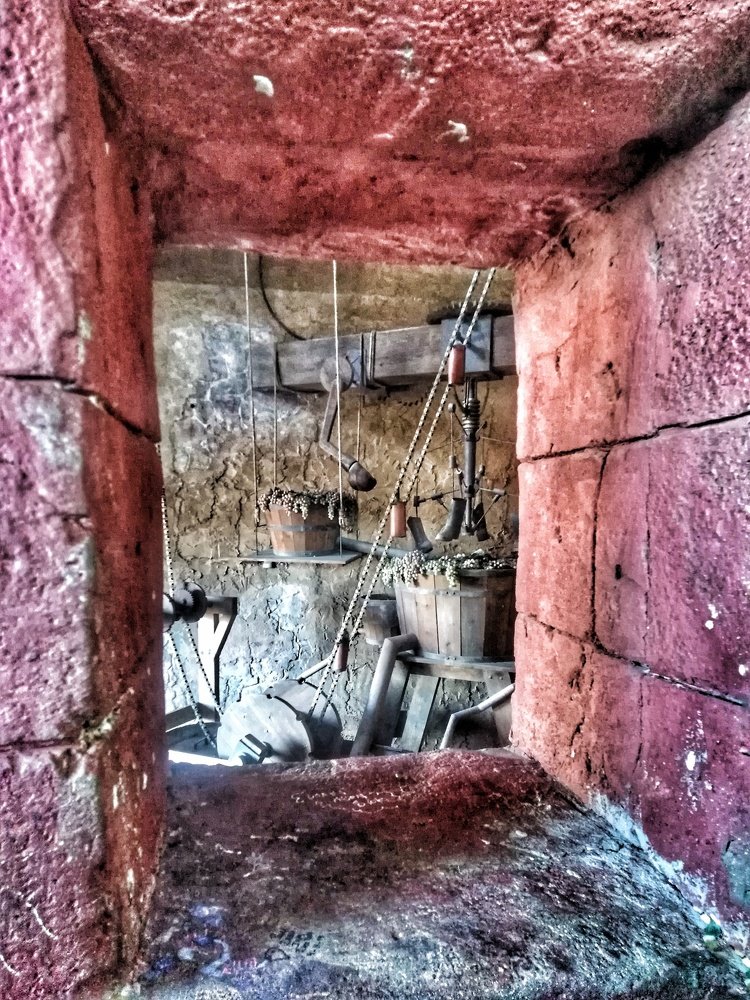 Acercamiento al pasado del vino