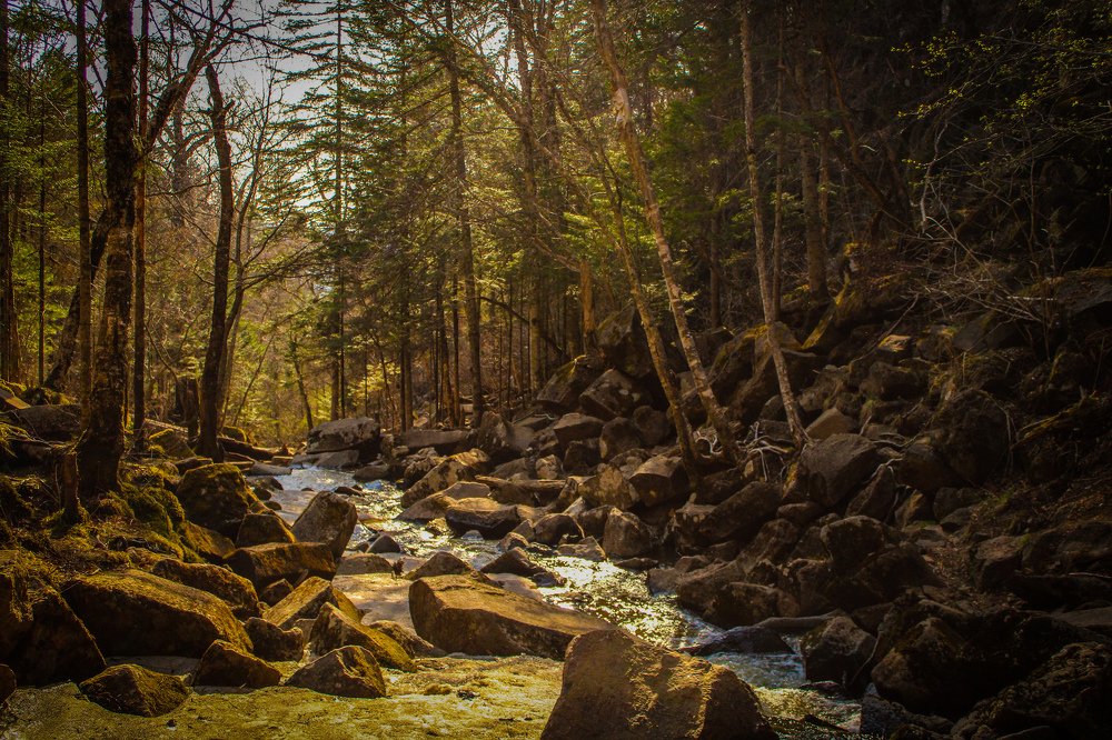 Photograph by Евгений Добрынин