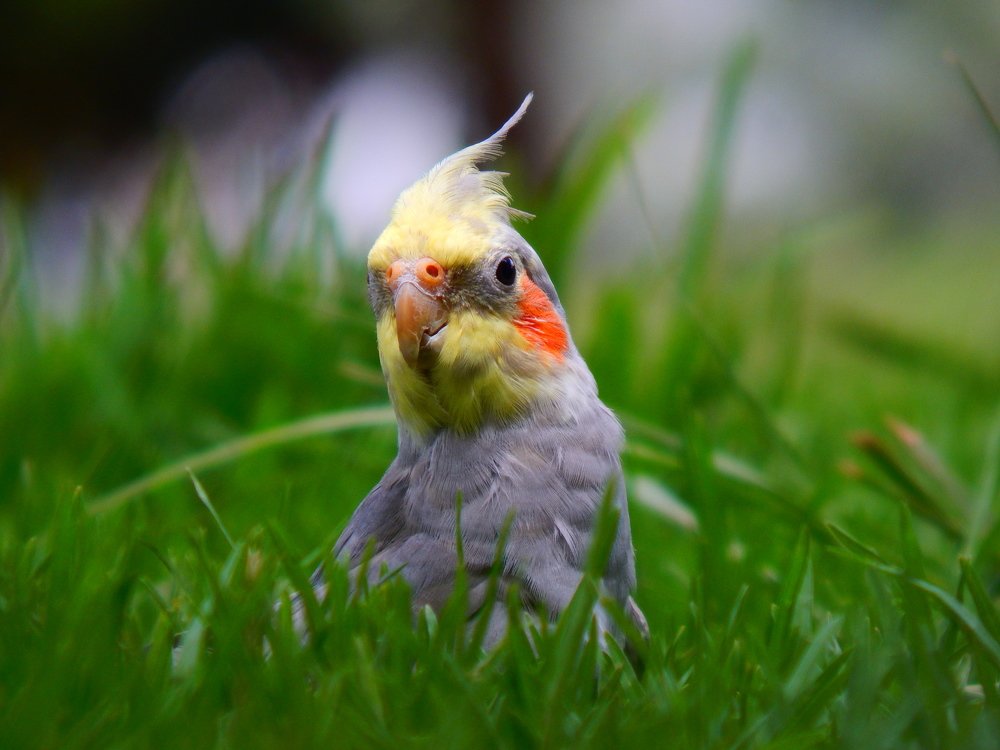 Photograph by Juan Sebastian Rincón