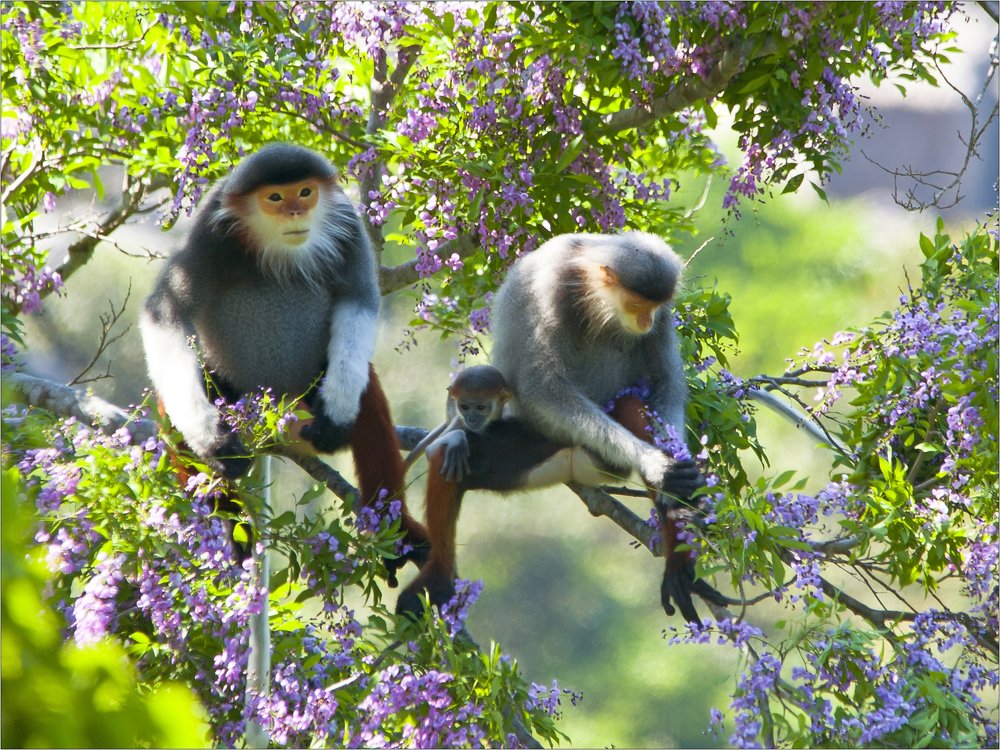 Photograph by Hà Thạnh