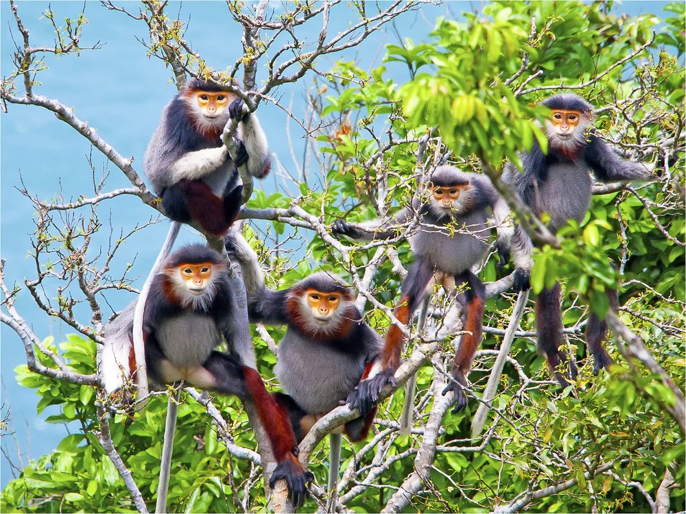 Photograph by Hà Thạnh