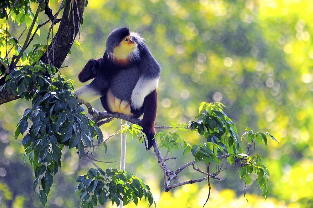 Photograph by Hà Thạnh