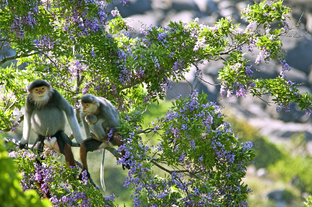 Photograph by Hà Thạnh