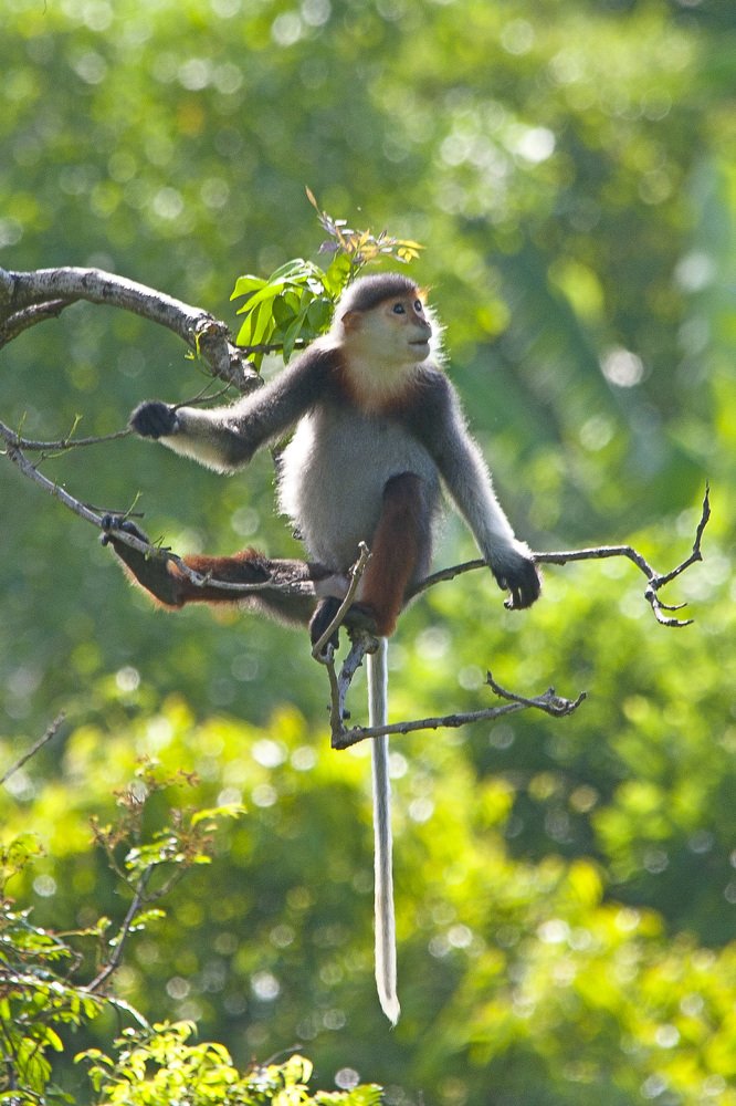 Photograph by Hà Thạnh