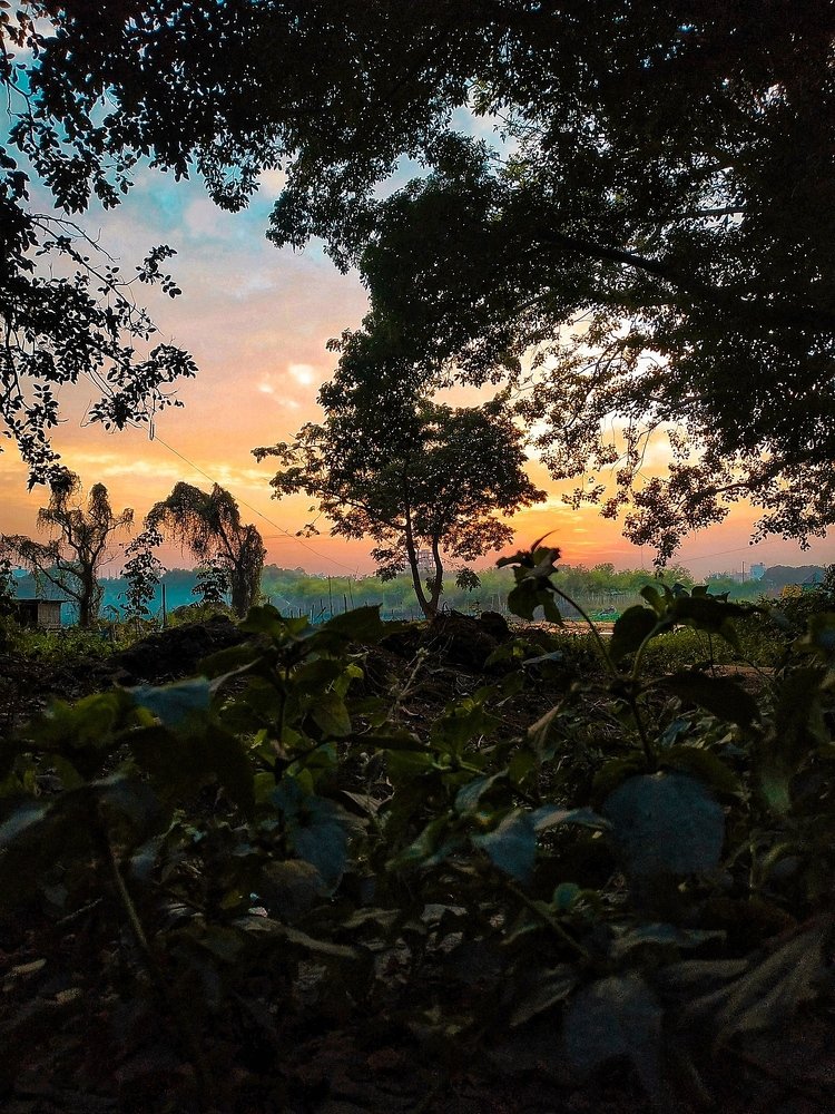 Photograph by Rahman Tikly Nafisa