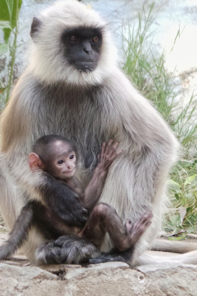 Photograph by bapodara sugha