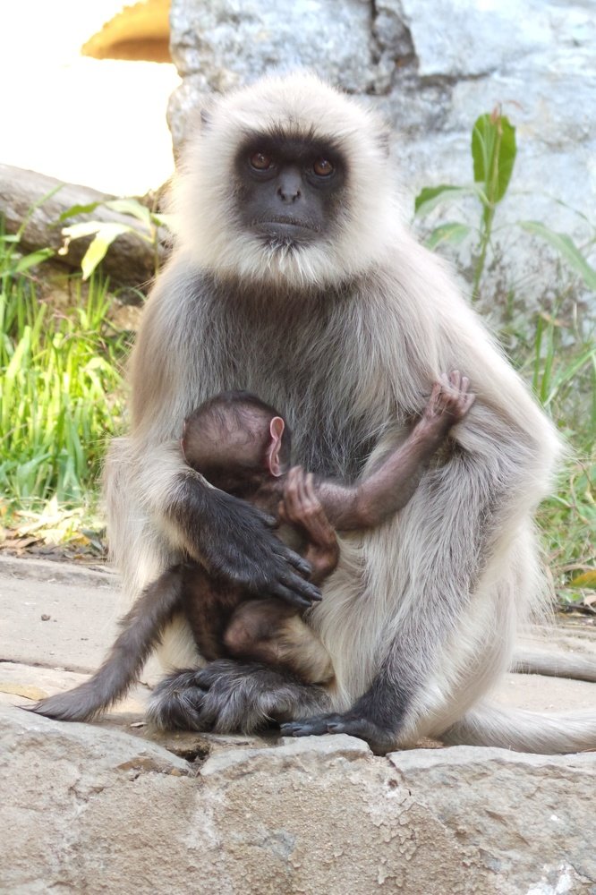 Photograph by bapodara sugha