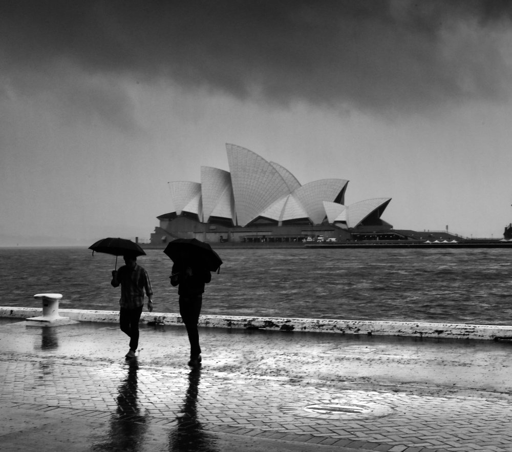 Rainy Sydney