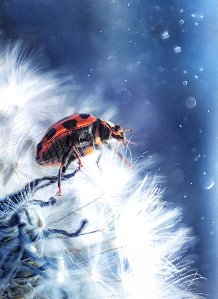 Photograph by Евгений Горланов