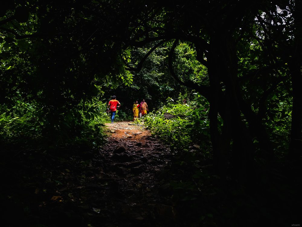 Photograph by Pavel Rout