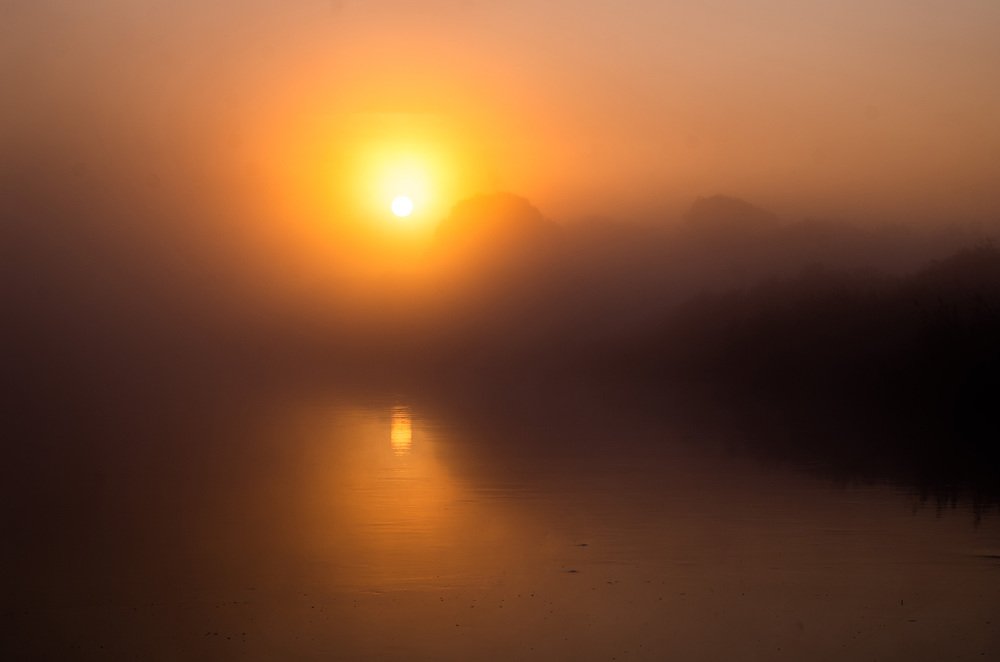 Photograph by Евгений Новицкий