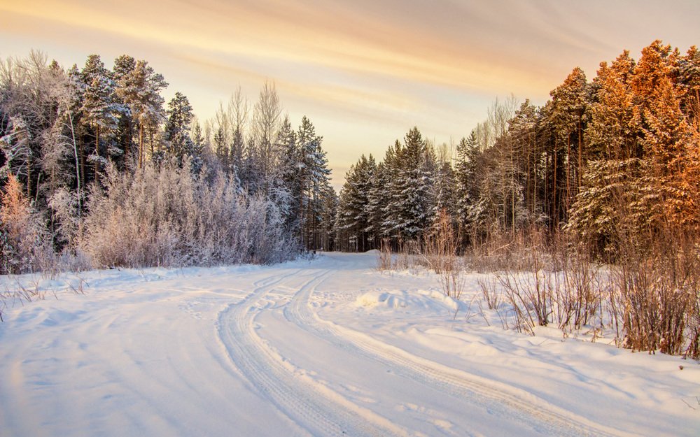 Солнечный день