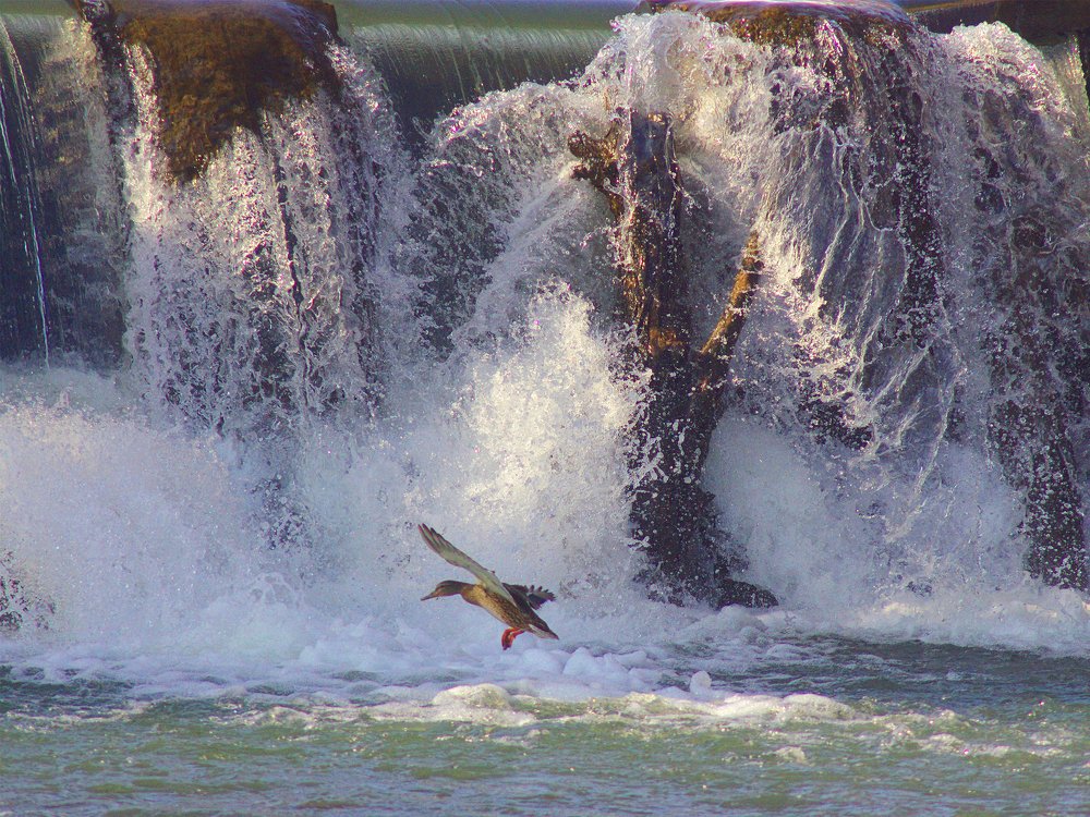 На водопаде Мечты...