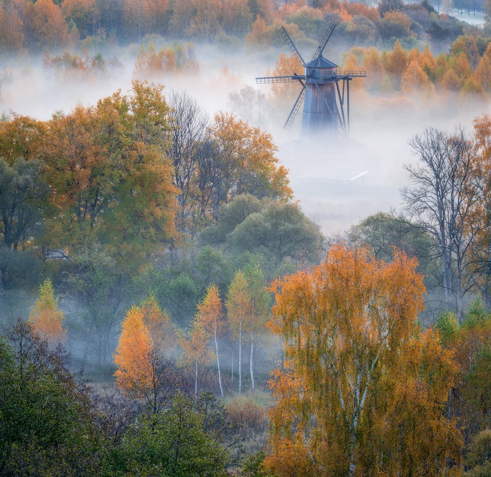 Photograph by Виталий Левыкин