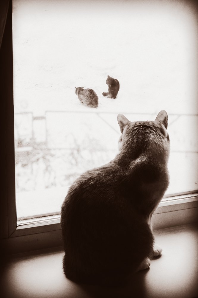 Photograph by Наталия Арсюткина