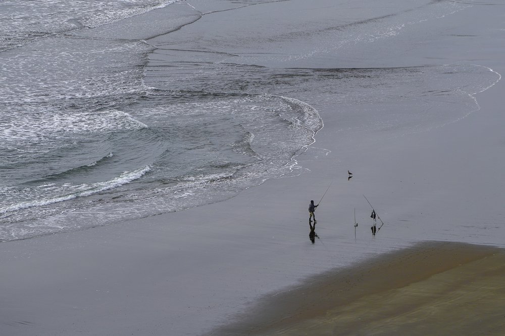 Фотография автора Fikriye Er