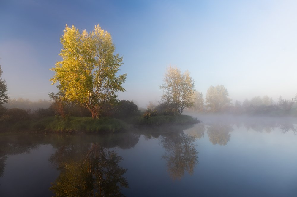 Фотография автора  Гобова Наталья