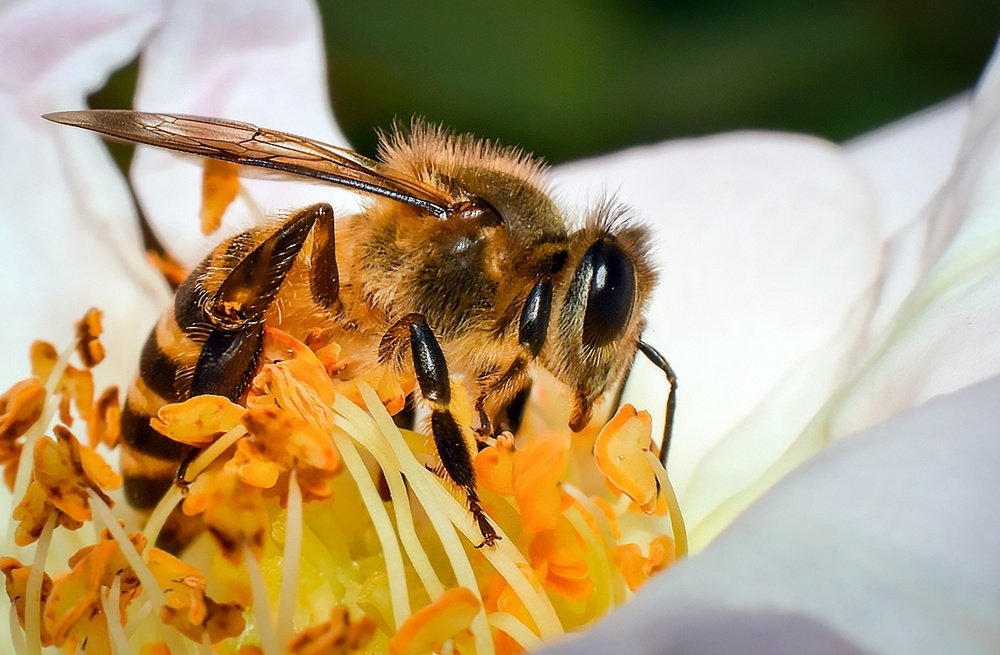 Photograph by Hriten Bhoumik