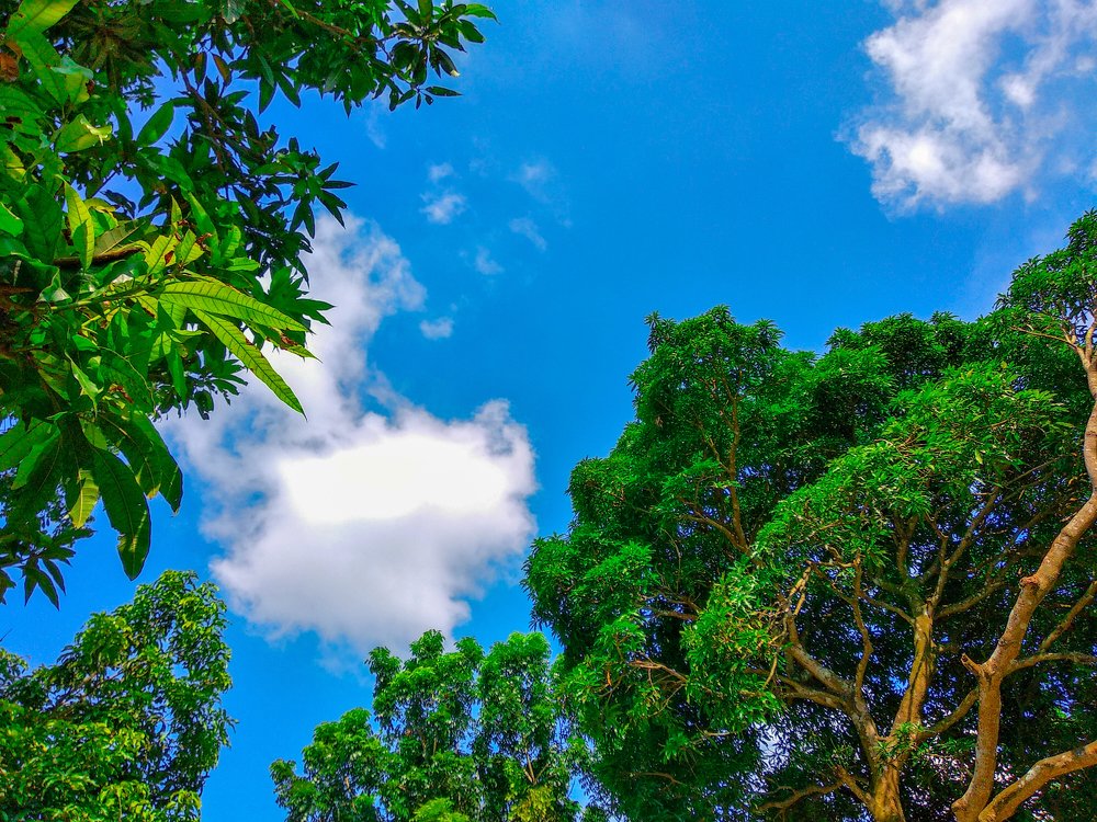 Photograph by K.M.Ferdous Hasan Foysal