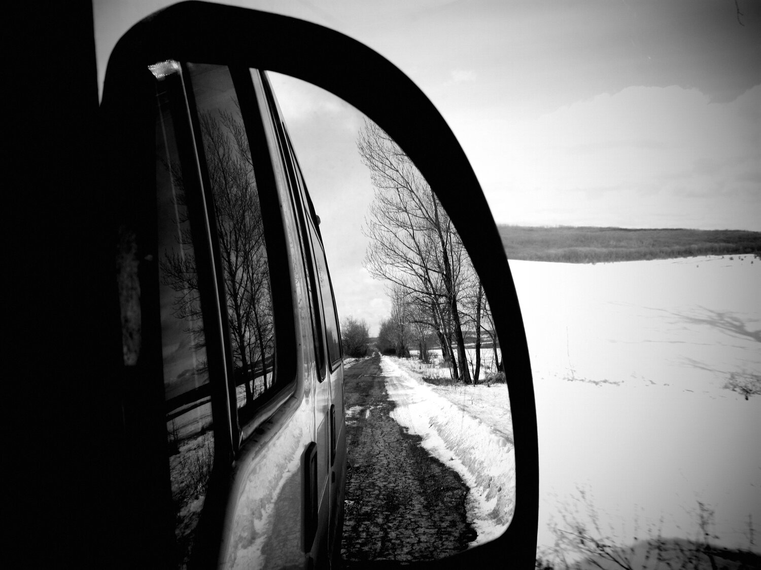 Photo #4164493