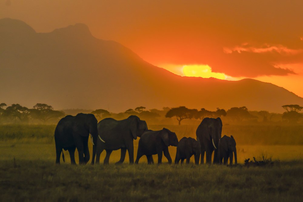 Фотография автора Ashok Behera