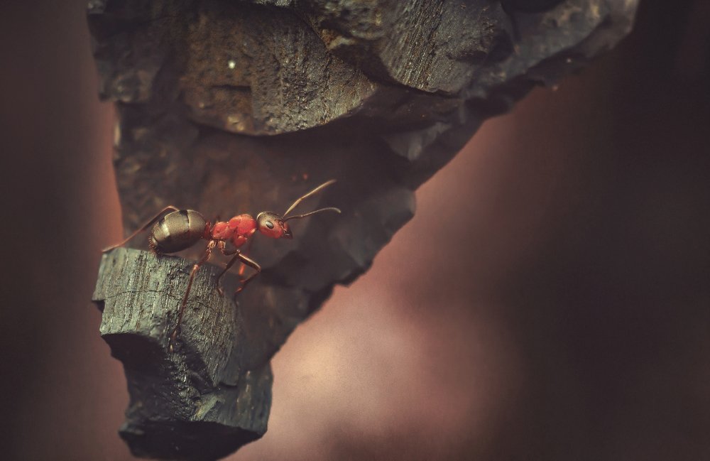 Photograph by Александр Молотков