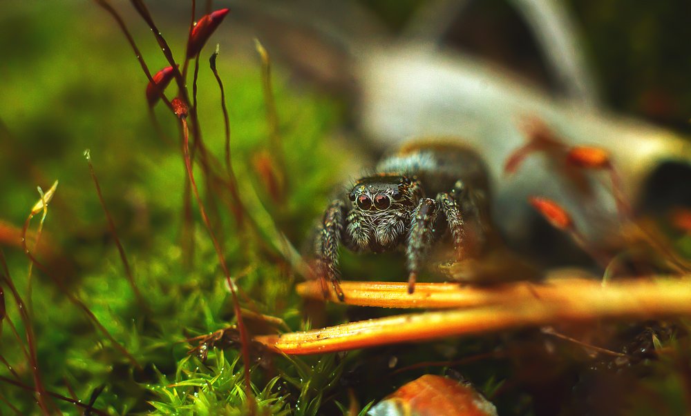 Photograph by Александр Молотков