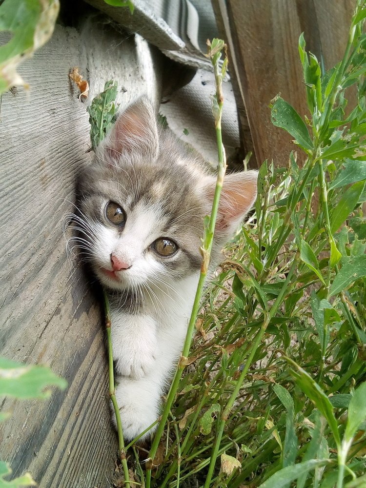 Photograph by Маргарита Данилина