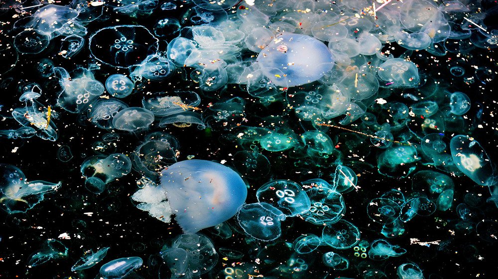 Photograph by Bekir Yesiltas