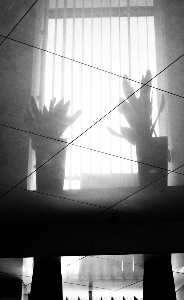 Photograph by Ольга Кретинина