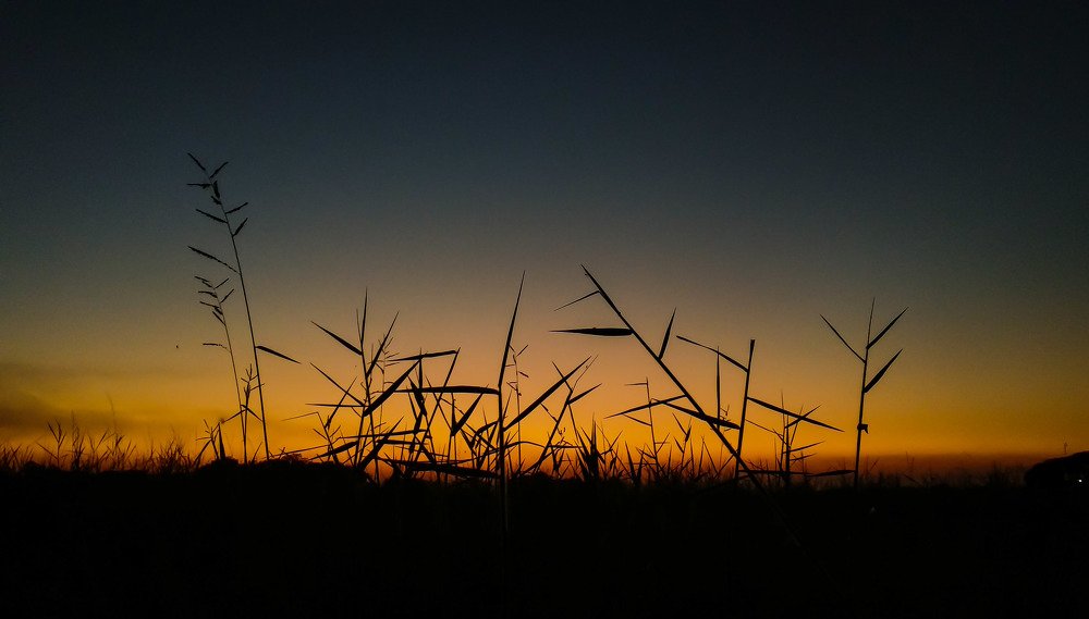 Photograph by Forhad Hossain