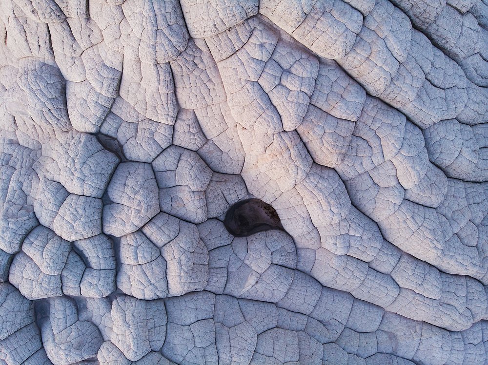 Photograph by Lana Anferow