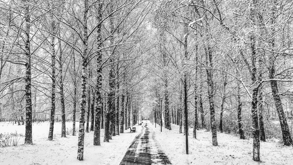 Идеальная прогулка