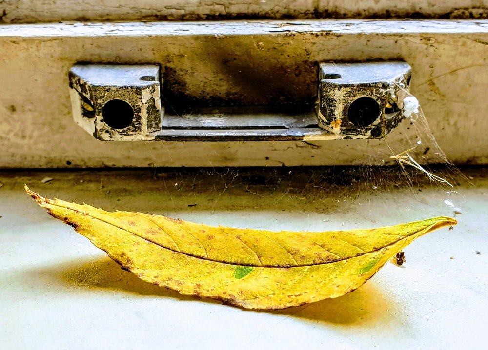 Улыбка осени