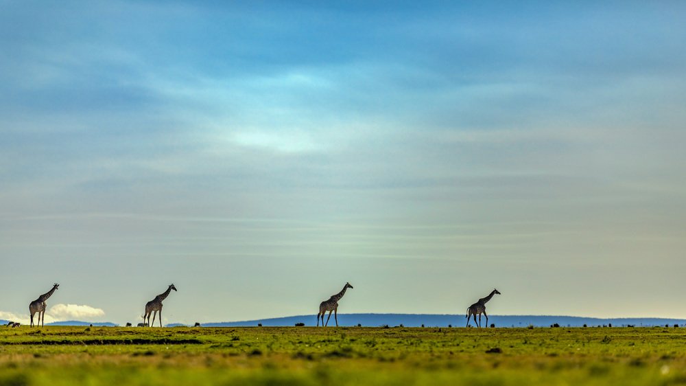 Фотография автора Ashok Behera