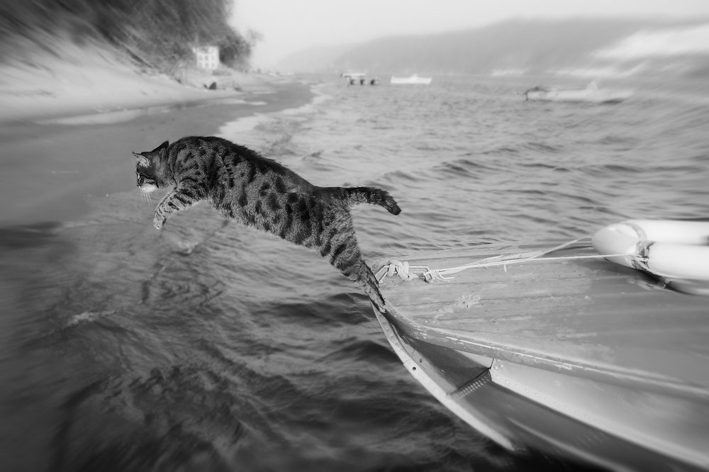 Ягуар для лодки