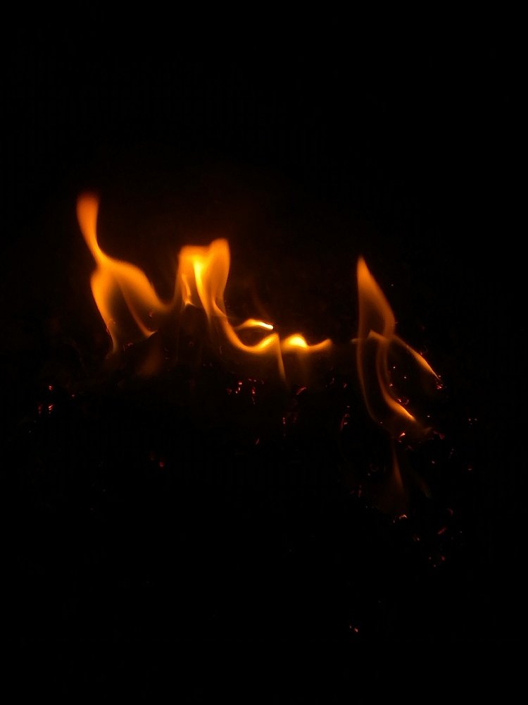 Photo #4164870