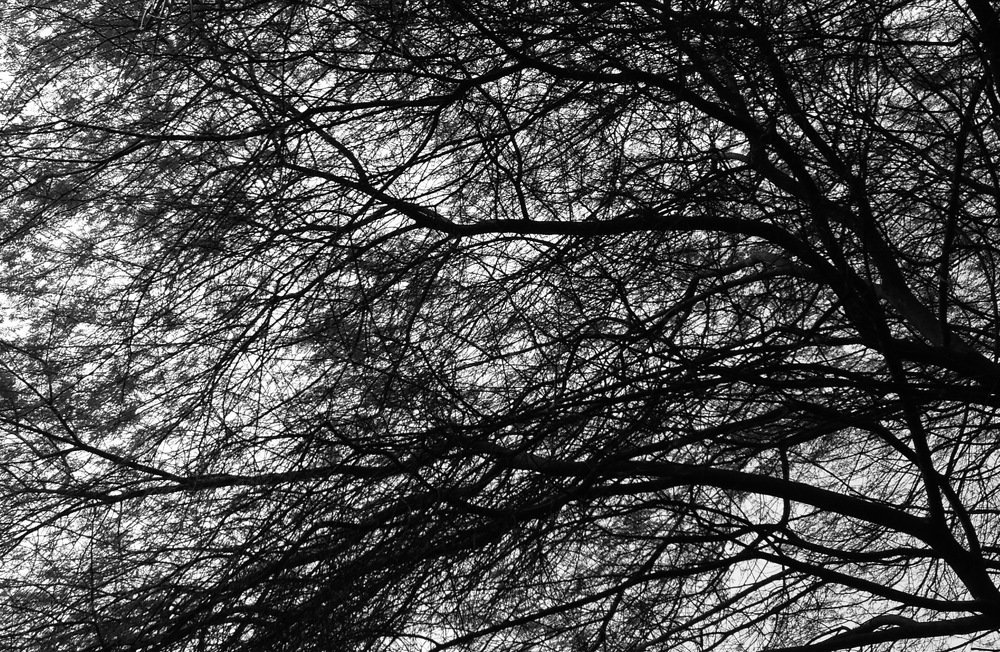 Photograph by Kaustav Ghosh