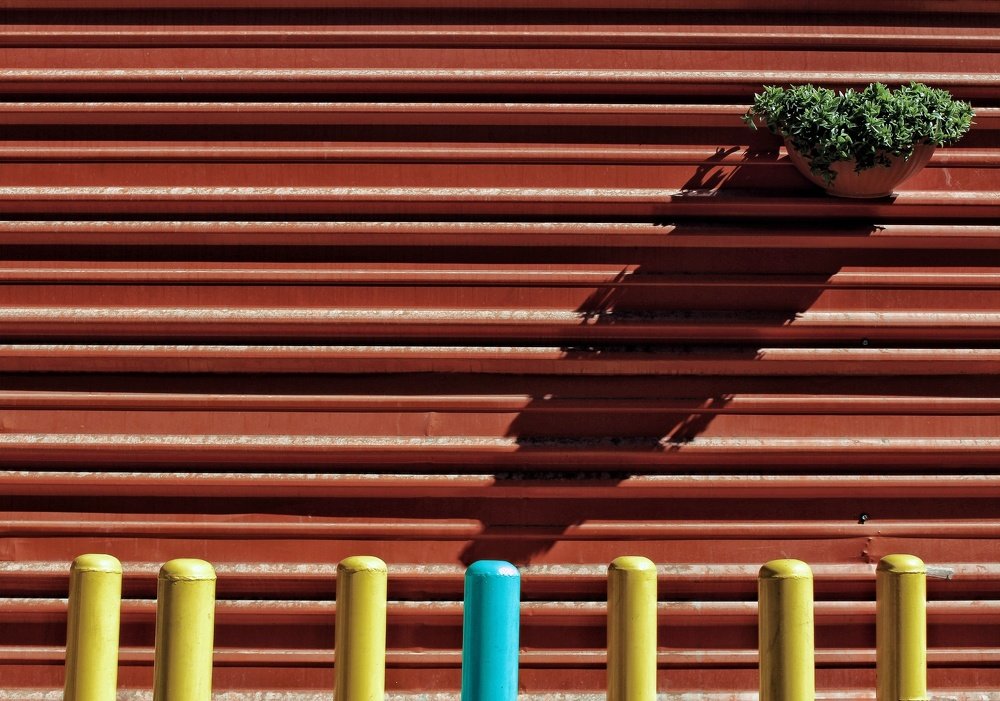 Фотография автора Alireza Asiaban