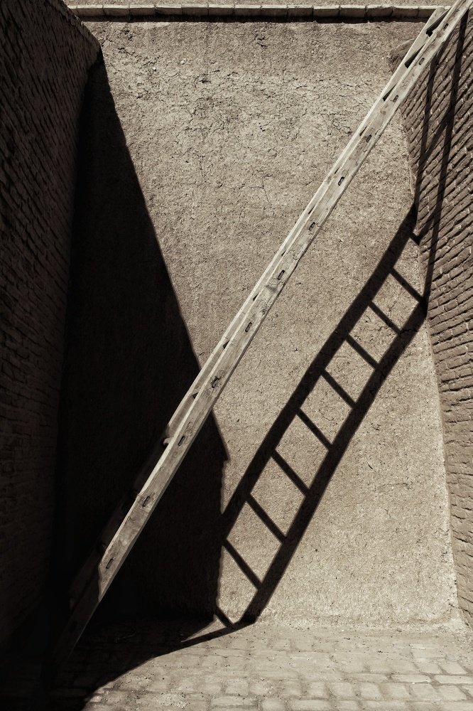 Фотография автора Alireza Asiaban