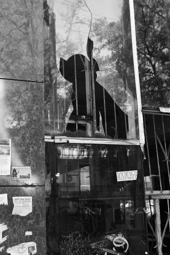 Photograph by Наталья Parovyshnyk